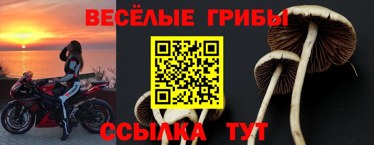 Азнакаево  Галлюциногенные грибы мицелий  Вход с VPN  наркотики  Галлюциногенные грибы Psilocybe 